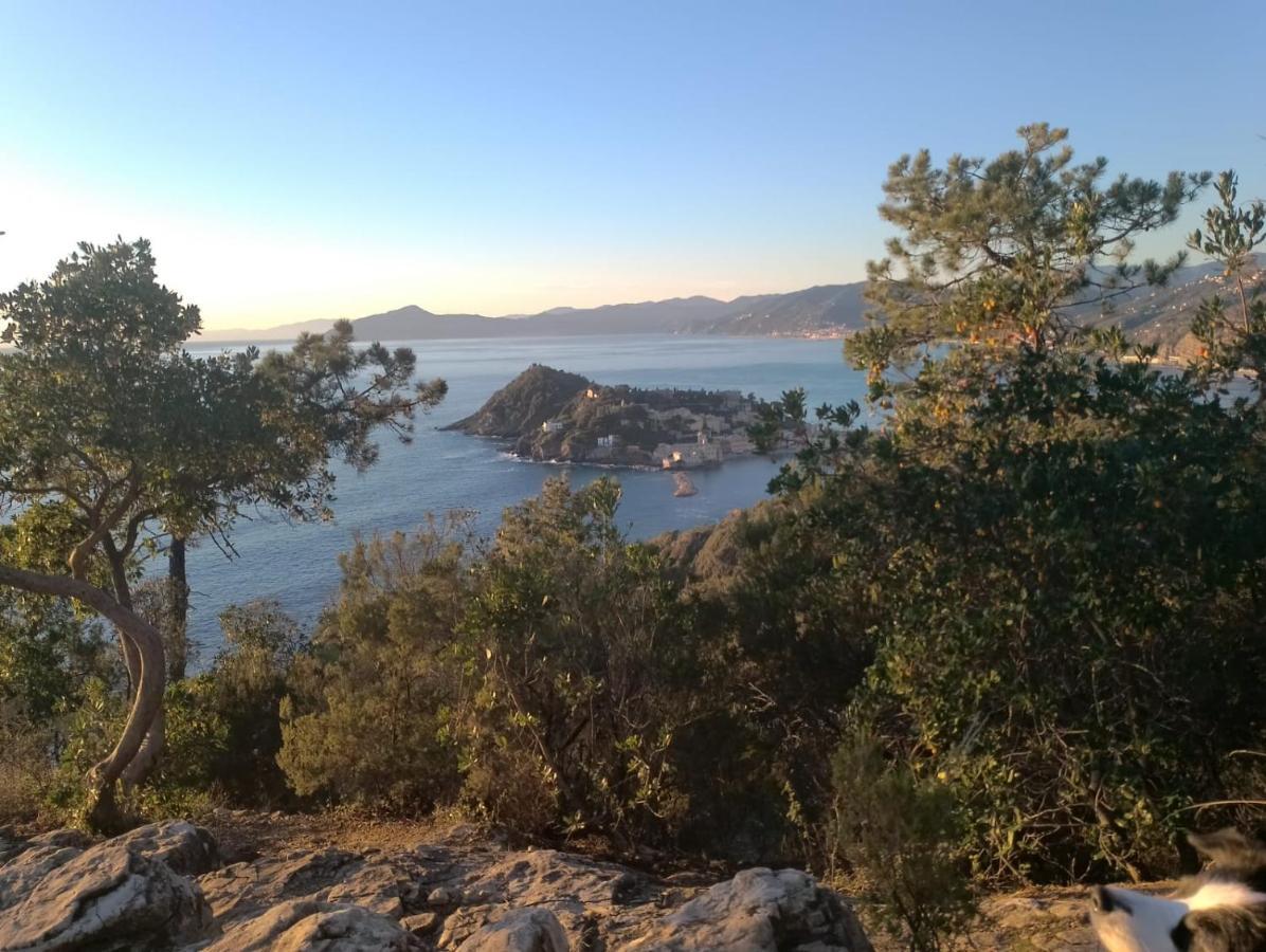 Casa Caterina Setri Levante Sestri Levante Kültér fotó